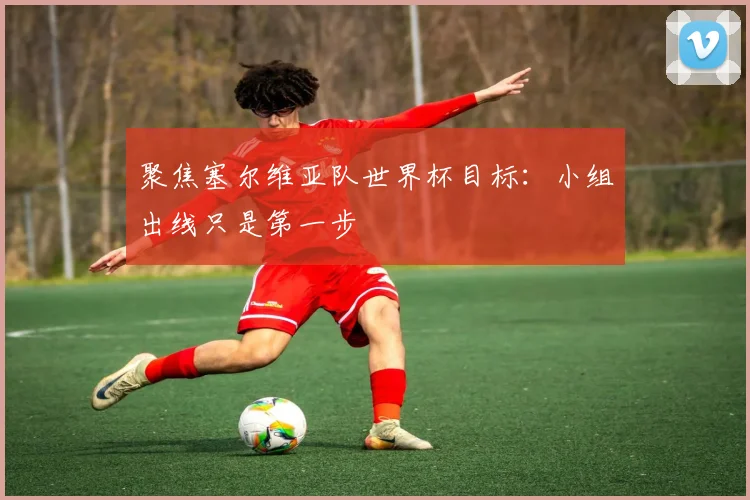 聚焦塞尔维亚队世界杯目标：小组出线只是第一步
